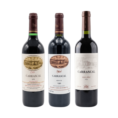 VERTICAL CARRASCAL MUNDIAL