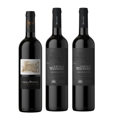 VERTICAL CAVAS DE WEINERT 2004 - 2009 - 2013