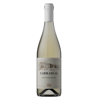 CARRASCAL SAUVIGNON BLANC 2024